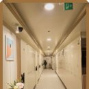 스테이42 이미지