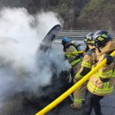 무릉도원면-51 이미지