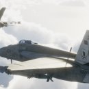 도그 에이스 이미지