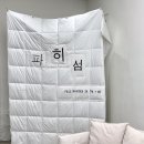 파히섬 이미지