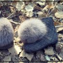 바니바니 이미지