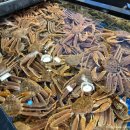 박달시장_상 이미지