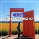 금호강하중도 | [가을에 가기좋은 대구여행지] 대구 하중도 금호강 2024 대구정원 박람회 축제 후기