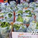 진도종합가구 이미지