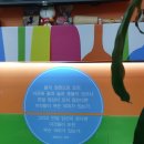 김숙이토마토 이미지