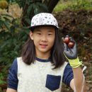 선인태권도장 이미지