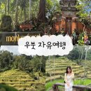 [발리 5일차] 우붓 몽키포레스트•우붓왕궁•뜨갈랄랑 자유여행 (with 그랩 배달 한식 추천)