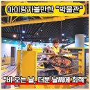고양어린이박물관 | 고양어린이박물관 후기 고양시 아이체험공간 추천! 아이랑 가볼만한 실내 놀거리