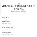 중마동물병원 이미지