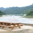 봉황그린 이미지