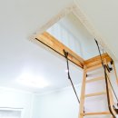 양구 나비야 이미지