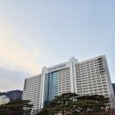 쉬느 | 홍천 비발디파크 소노벨 B동 강원도 여행 숙소 오션월드 스노위랜드 스키장