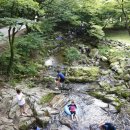 전국 최고의 불볕 더위 전주(全州) 이미지