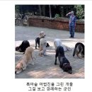 짐작 이미지