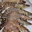 자갈치횟집 이미지