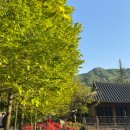 이복화 소머리국밥집 이미지