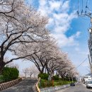 가곡강변로 이미지