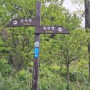 다우목장 이미지