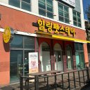 우리스테이 | 청주애견미용 전체미용 위생미용 후기 힐링펫스테이