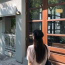 위시(WISH) 이미지