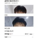 디씨헤어 Daum카페