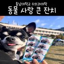 [대전] 대전축제 충남대 동물사랑큰잔치 🐶 참가 후기