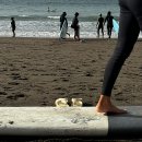 초보 서퍼의 서핑후기! 제주도서핑ㅣ제주도서핑 서프앤조이