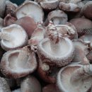 민제농장 이미지