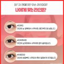 드레스성형외과의원 이미지