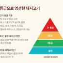 오늘잡은소 이미지