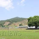 이제길 정려 이미지