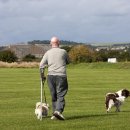 춘천애견체험박물관 이미지