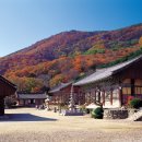 추천여행지안내 - 고창읍성, 고인돌, 선운사, 영광법성포