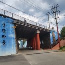 부곡동 돌담해안숲공원 이미지