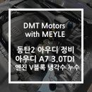 DMT모터스 이미지