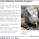 코모도 이미지