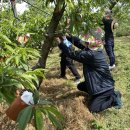 미숙식품 이미지