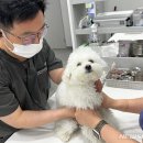 활기찬동물병원 이미지