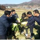 해남군-02 이미지