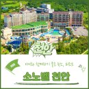 천안 소노벨 리조트 이스트동 웨스트동 비교 및 WEST동 스위트B 숙박후기