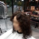 보헤미안헤어 이미지