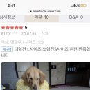 솔다 이미지