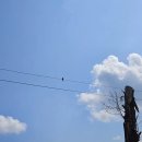 말구리농장 이미지