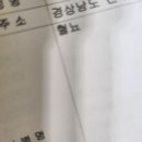 혈뇨진단으로 시티촬영 후기