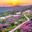 서울큰별의원 이미지