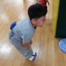 서초연꽃 이미지