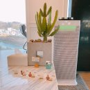 바디플랜짐 이미지