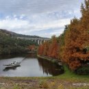 용소웰빙공원 이미지