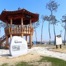 만경강 사수정 이미지