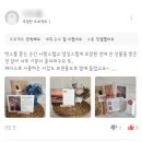 나인레빗 | 슬로한주 #134 연말을 준비하며
